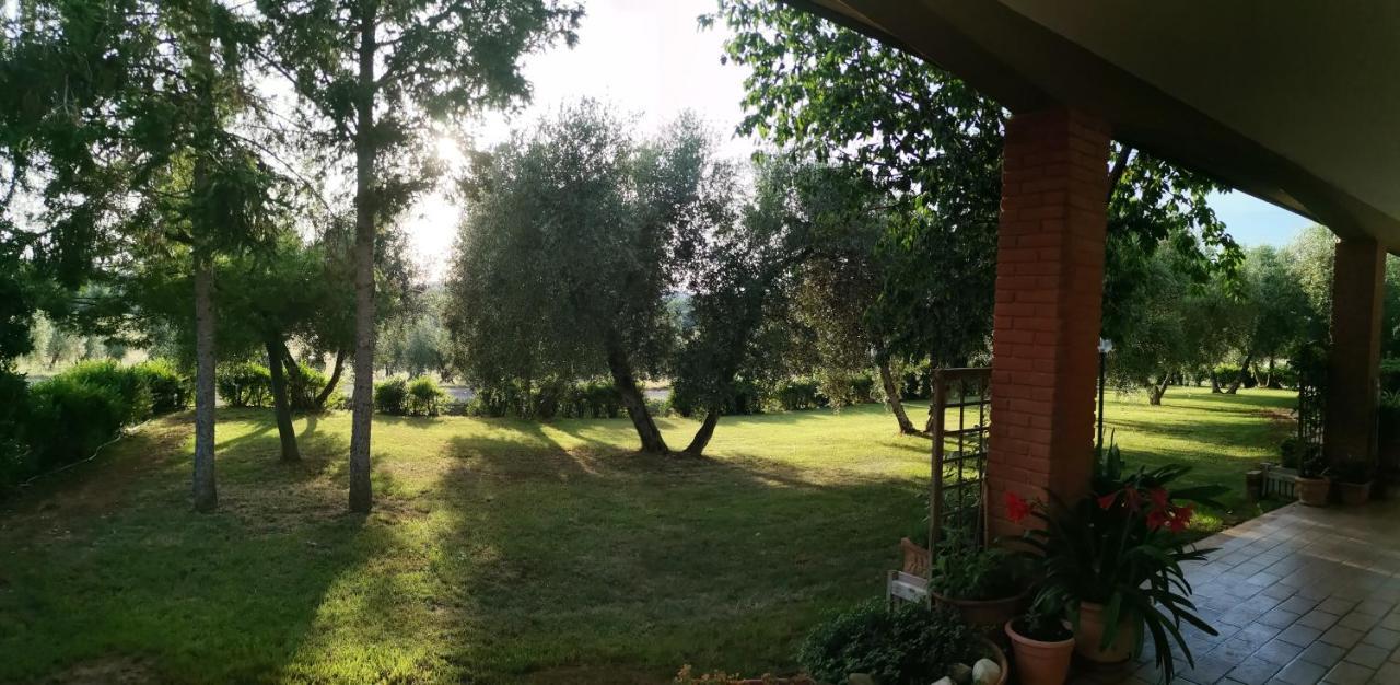 Il Punto Verde Sant'Antonio  Exterior photo
