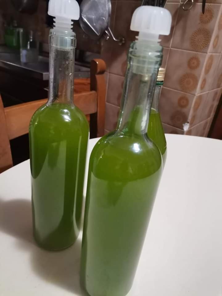 Il Punto Verde Sant'Antonio  Exterior photo